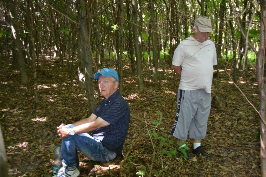 Wycieczka do lasu 1